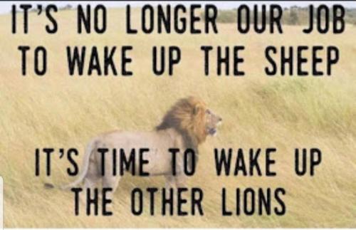 Screenshot_20210410-204859_clouthub