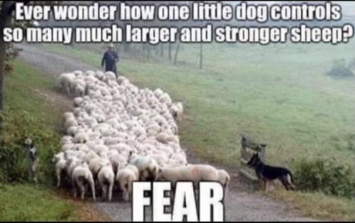 52E0131F-C8AA-4767-BDBF-15A0C687F3E4