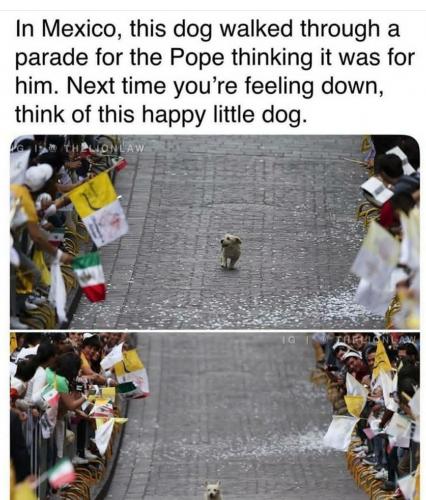 IMG_20210526_143336_069