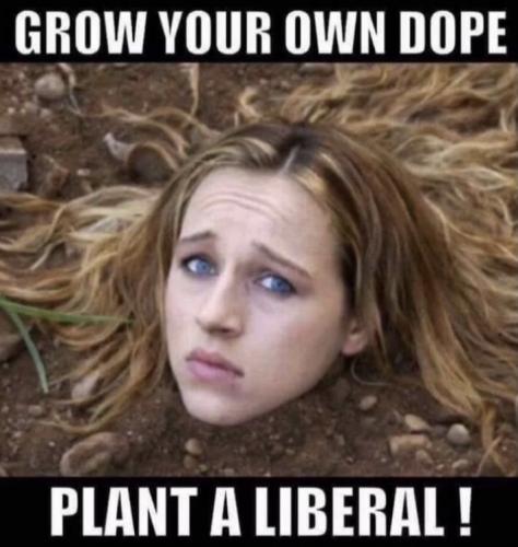 3E4D32C2-5B7E-40D9-A9AD-3B2128300236