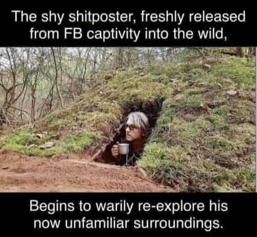 185737672_574218237300460_7224042738147575635_n