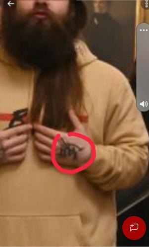 Screenshot_20210106-151709_Parler