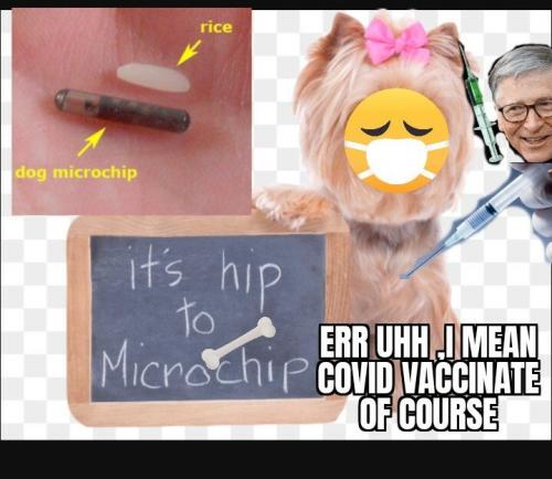 2d23d83c1fcc2227