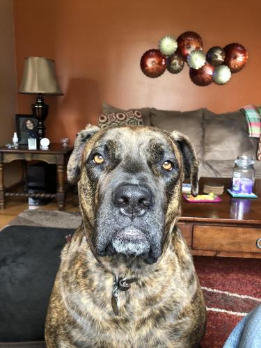 C7862363-DD6C-468A-AECD-0CB731E636C6