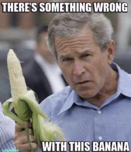 D5D03FAA-F487-4307-B334-8511343B007F