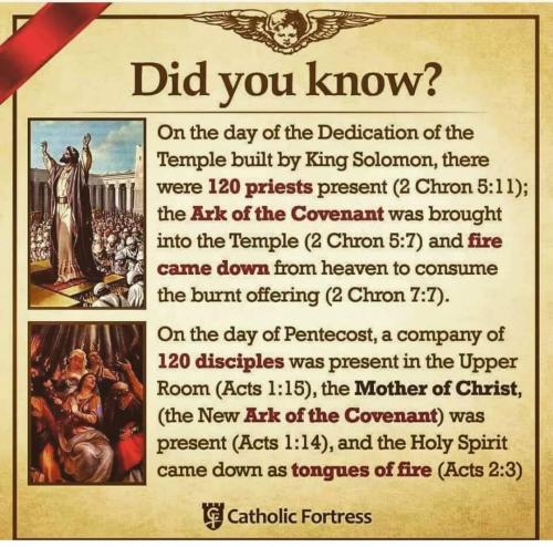 FB_IMG_1622048528546