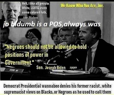 joe-biden-on-negroes