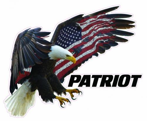 EaglePatriot1