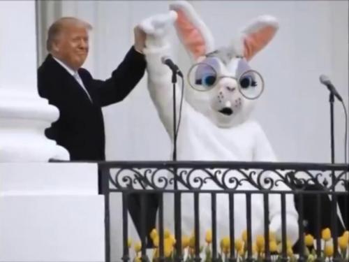 Screenshot_20210429-002428_Firefox