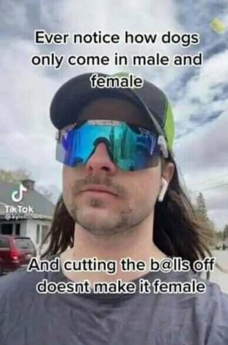 184632704_1396996560681335_177549976733183797_n