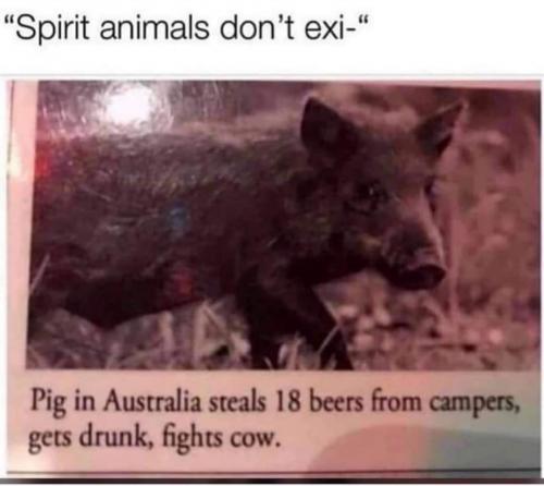 Screenshot_20210205-231824_clouthub