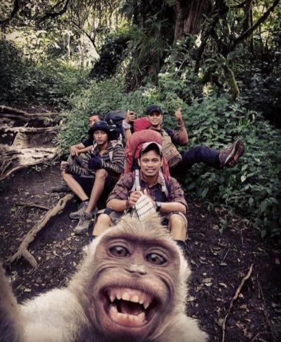 3C5C21C8-50B7-4996-8A79-527283C1538C