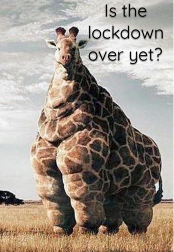 img_2020_12_08_02_12_34