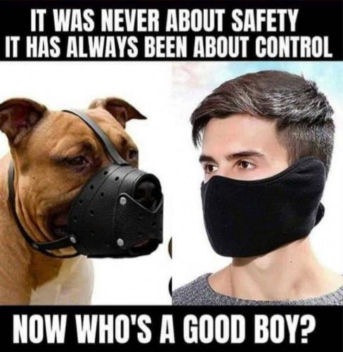 muzzle-control