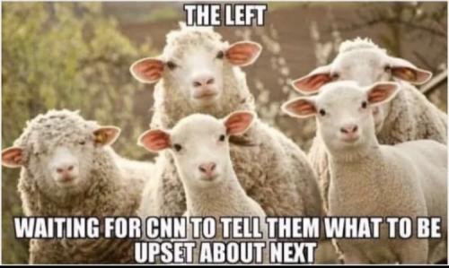 F088809E-A63D-46FF-889F-726E31713F1E