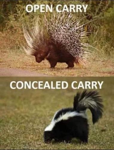 185305718_10220247490560416_1407432985948610314_n