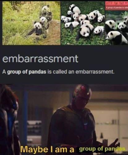 Panda Monium