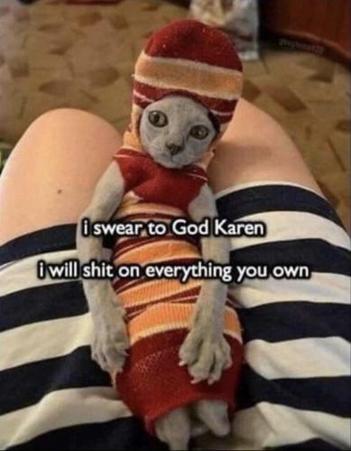 0E7BBBFF-0D9D-49C1-82BF-543E59D0EAC9