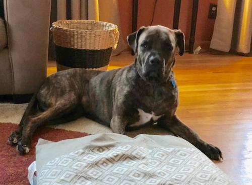 8FD262D3-C8DE-4908-9A5B-C429638442E9