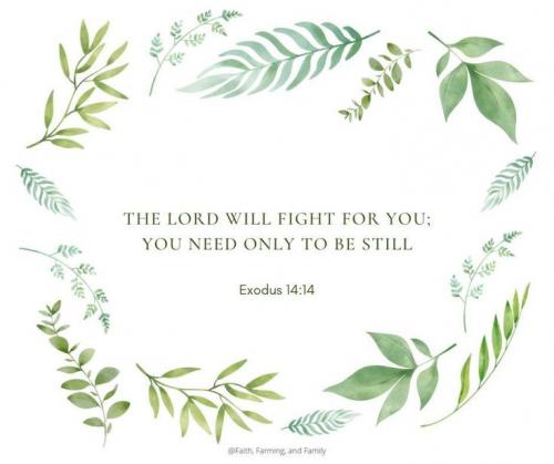 ChristianWarfare23