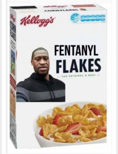 185109559_4061425400567369_848392705917698297_n