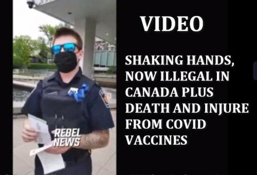 2021-05-26 at 08-09-55_cr_cr_cr