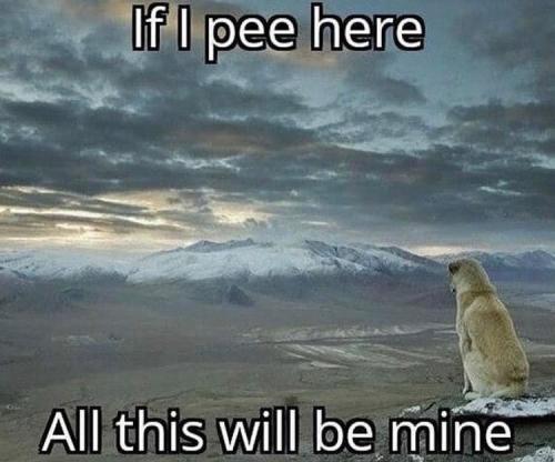 B010142A-DD4D-444B-855C-3CC26EF3AF8D