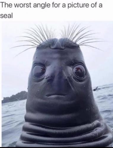 50E2FE01-A0F9-4DBA-84A0-E7E337245E26