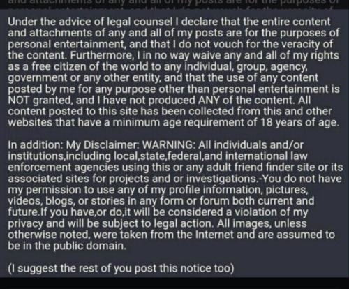 Disclaimer1