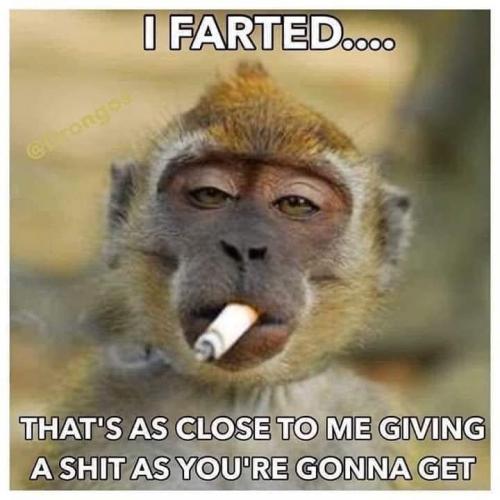 185325059_4315902761775005_3479905387533369364_n