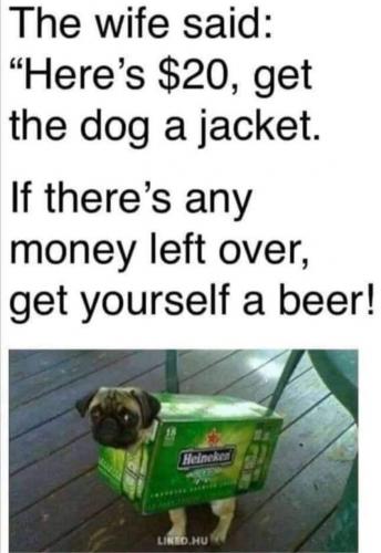 184913462_1769034089971566_6432692822031918020_n