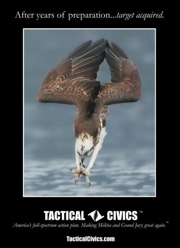 210513 Osprey-_Target_Acquired