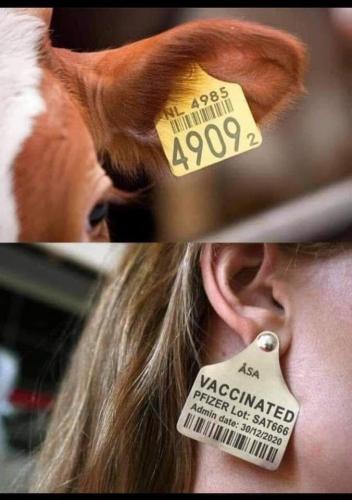 00497224-FFF1-4D2F-9EC8-438DCC87A8C9