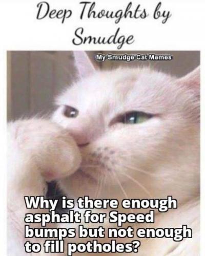 smudge
