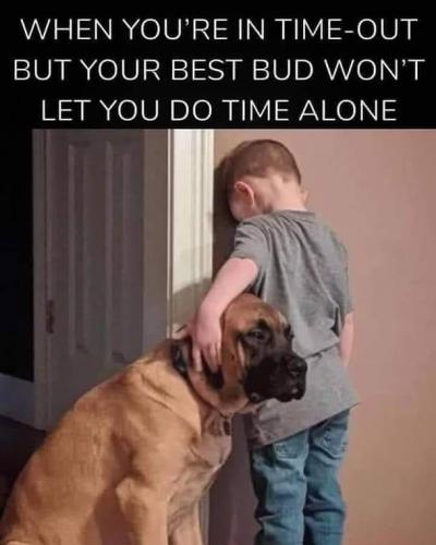 IMG_20210529_223221_245