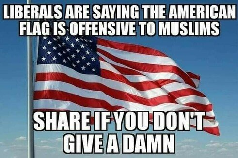 img - 2021-05-31T175341.247