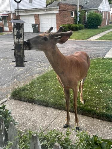 ED7F4658-9565-49AC-B214-219C2877C847