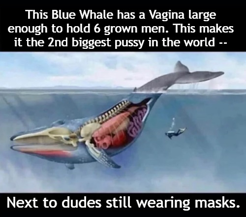 0a7f33759b0e3314