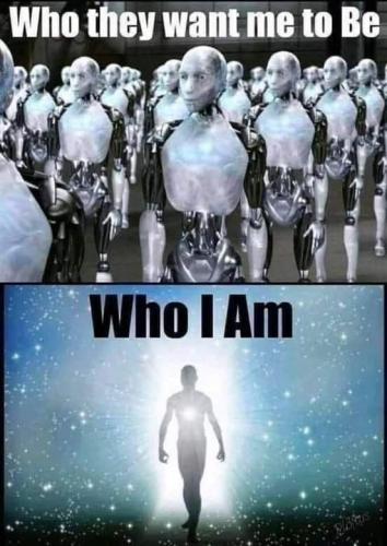 185814386_4177095439018606_6831286366509309521_n