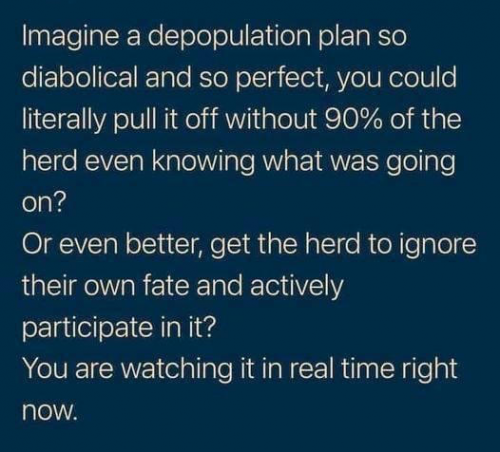 img - 2021-05-29T152732.195