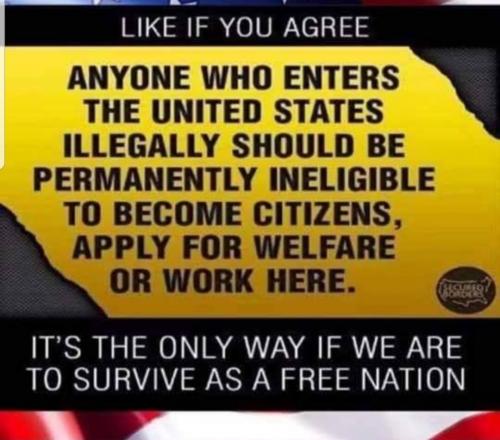 Screenshot_20210531-014547_clouthub