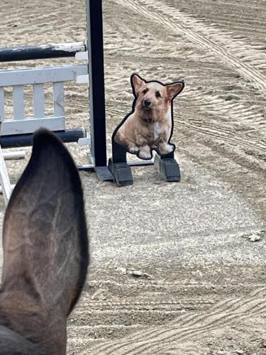 9FC245D9-68EE-49F5-8104-402E1C96AB1D