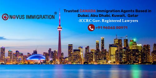 novus_Dubai, Abu Dhabi, Kuwait,  Qatar_Linkedin