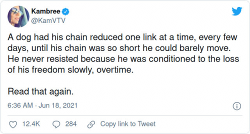 img - 2021-06-23T110326.828