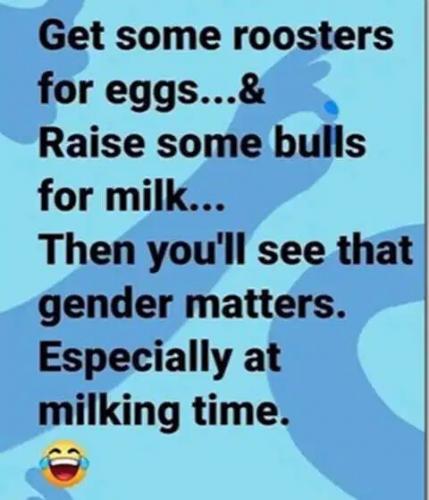 E653D830-2E49-4983-AFD3-587C3293E353