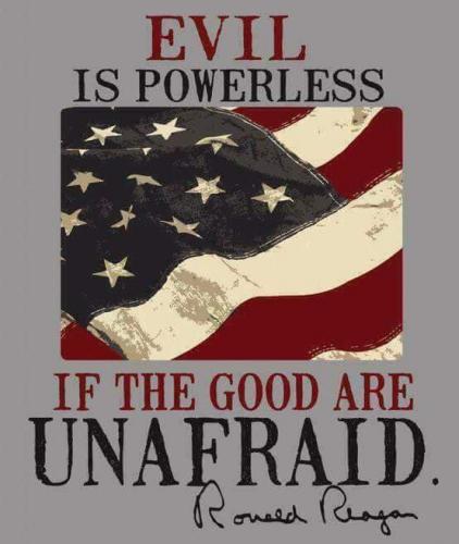 image(242)