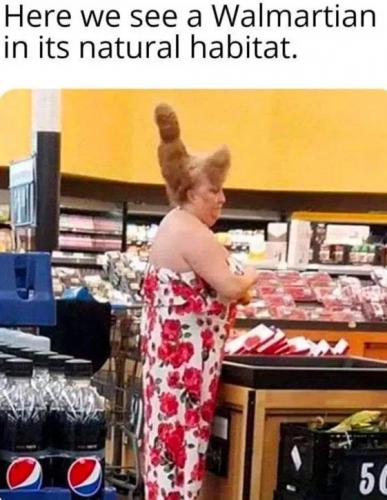 walmartian
