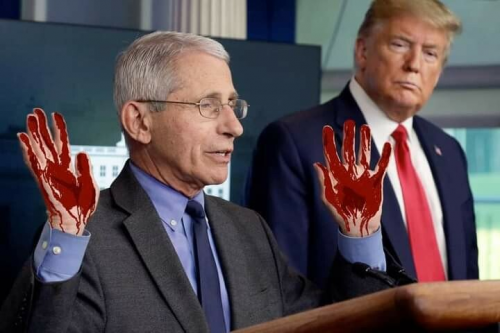 BFB1DA2A-2FC5-49F3-A617-93B13B0E8C08