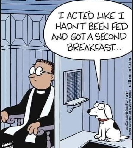 IMG_20210609_113104_380