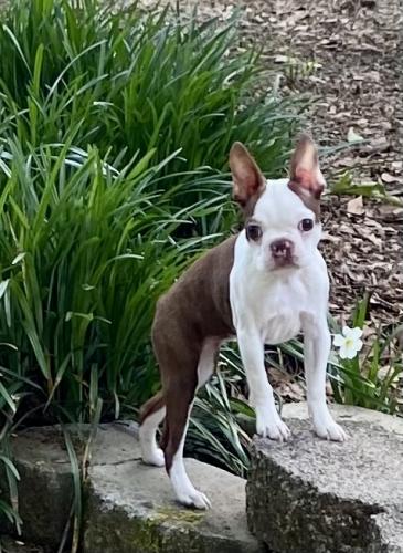 83AC0222-8788-4A88-8E8F-D35F2D2128FF